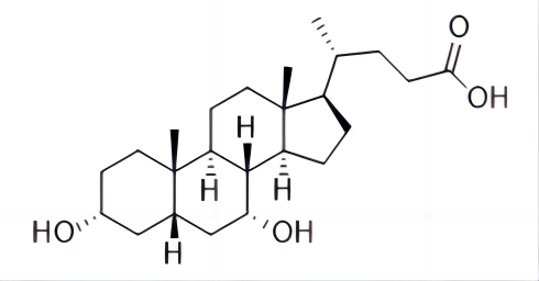 Chenodeoxycholic Acid（CDCA）
